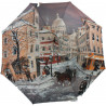 Parapluie canne Paris 1900 sous la neige