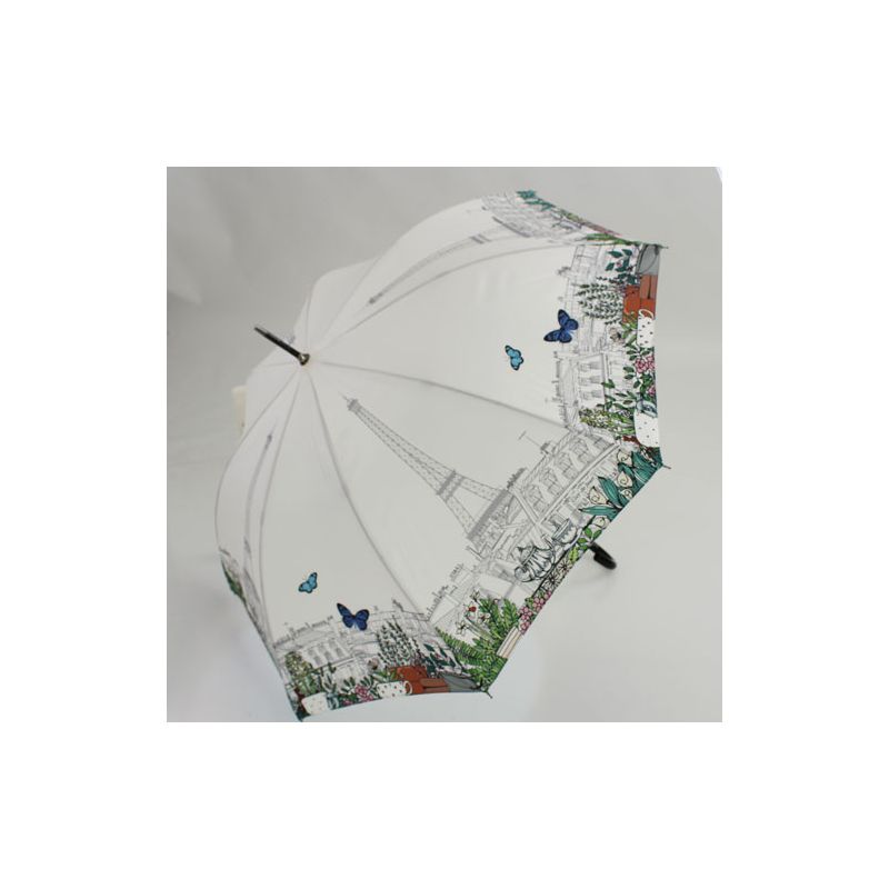 Parapluie canne les toits de Paris