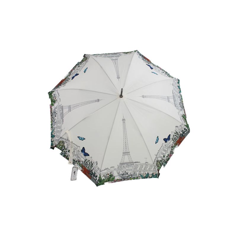 Parapluie canne les toits de Paris