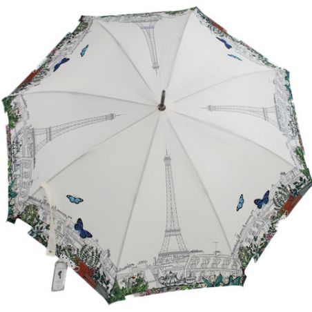 Parapluie canne les toits de Paris