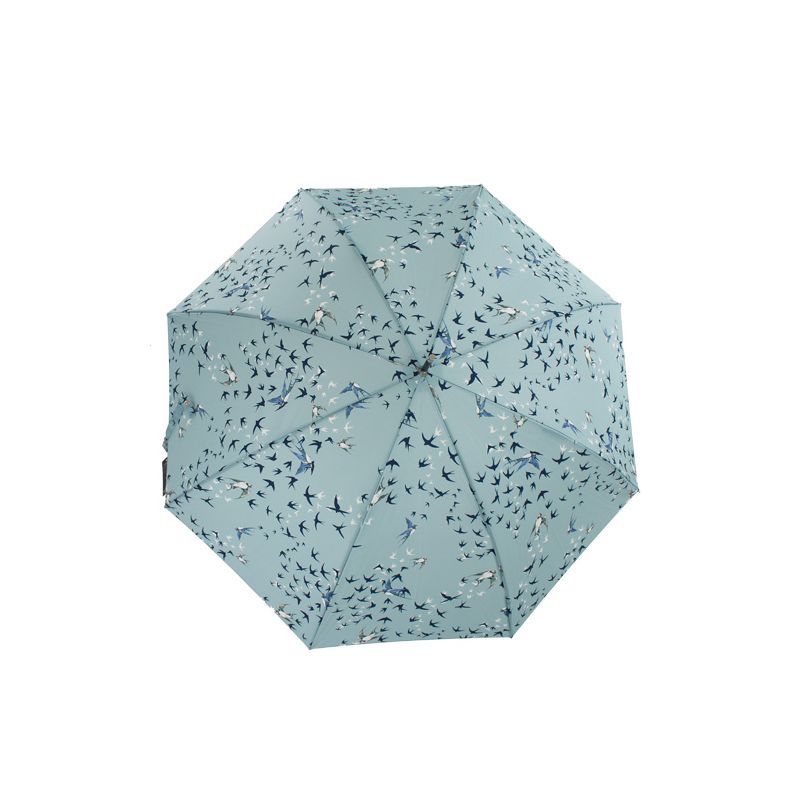 Parapluie canne hirondelles fond bleu clair