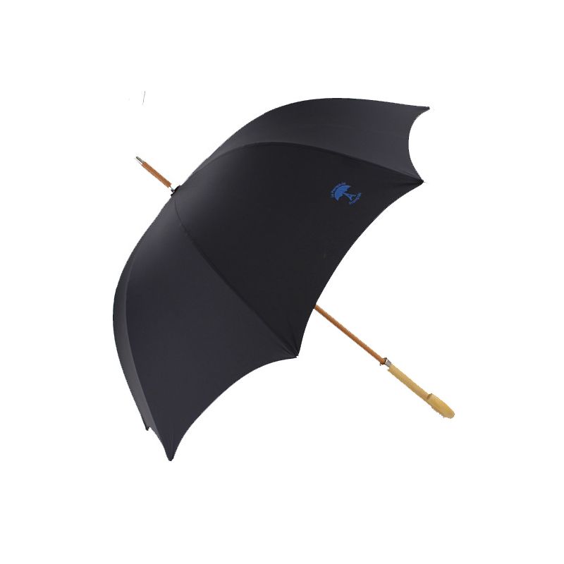 Parapluie canne noir le Parapluie Français