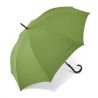 Parapluie droit Pierre Cardin automatique vert 
