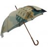 Grand parapluie canne Paris Belle époque