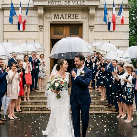Parapluie transparent cloche liseret noir