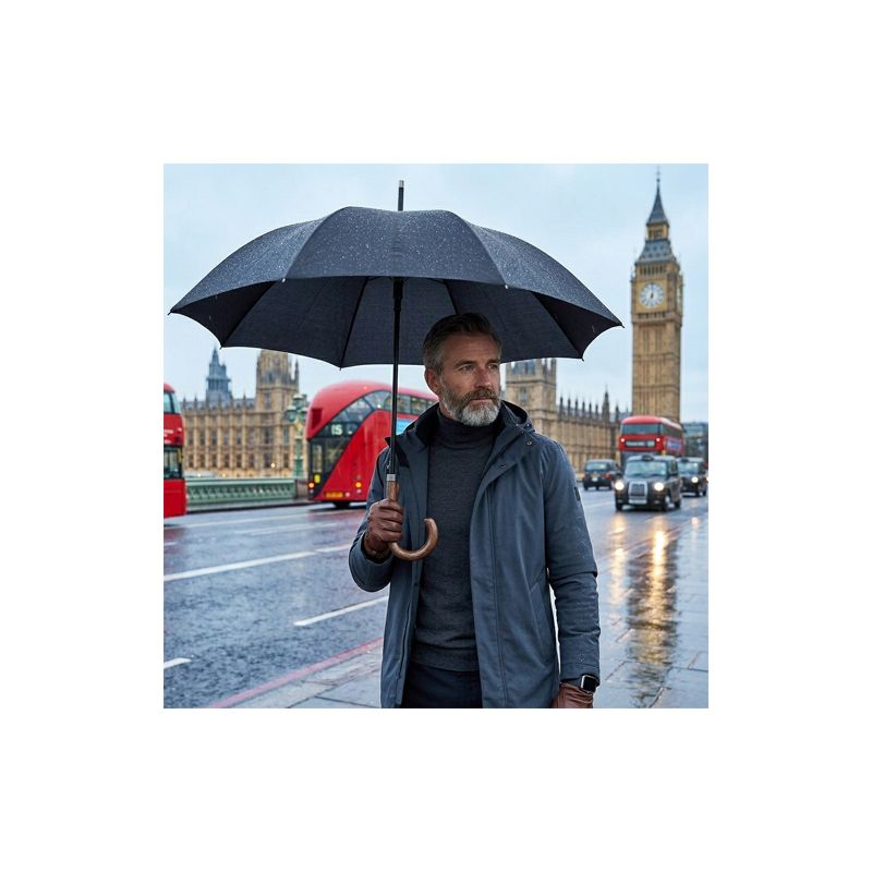 Parapluie noir anglais Fulton