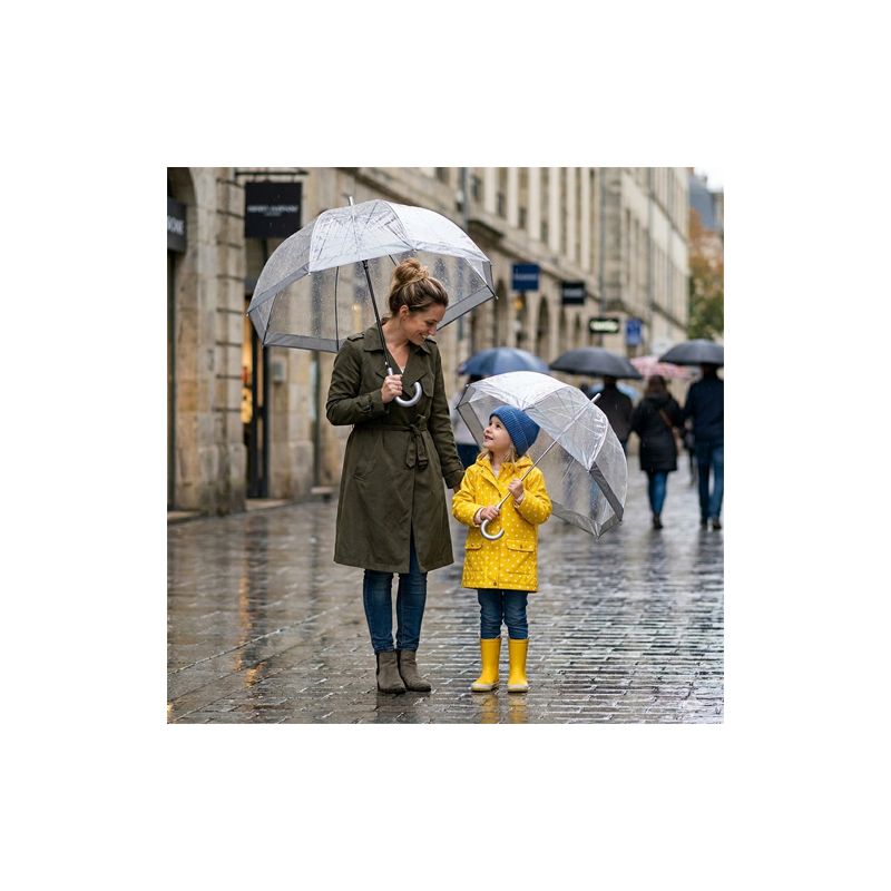 Parapluie transparent argent Fulton