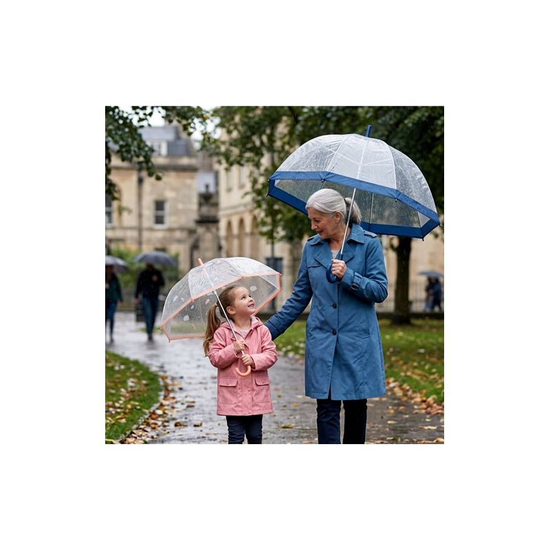 Parapluie cloche transparent oiseaux