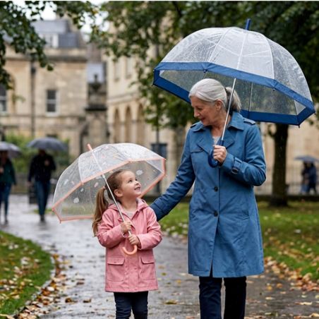 Parapluie cloche transparent oiseaux