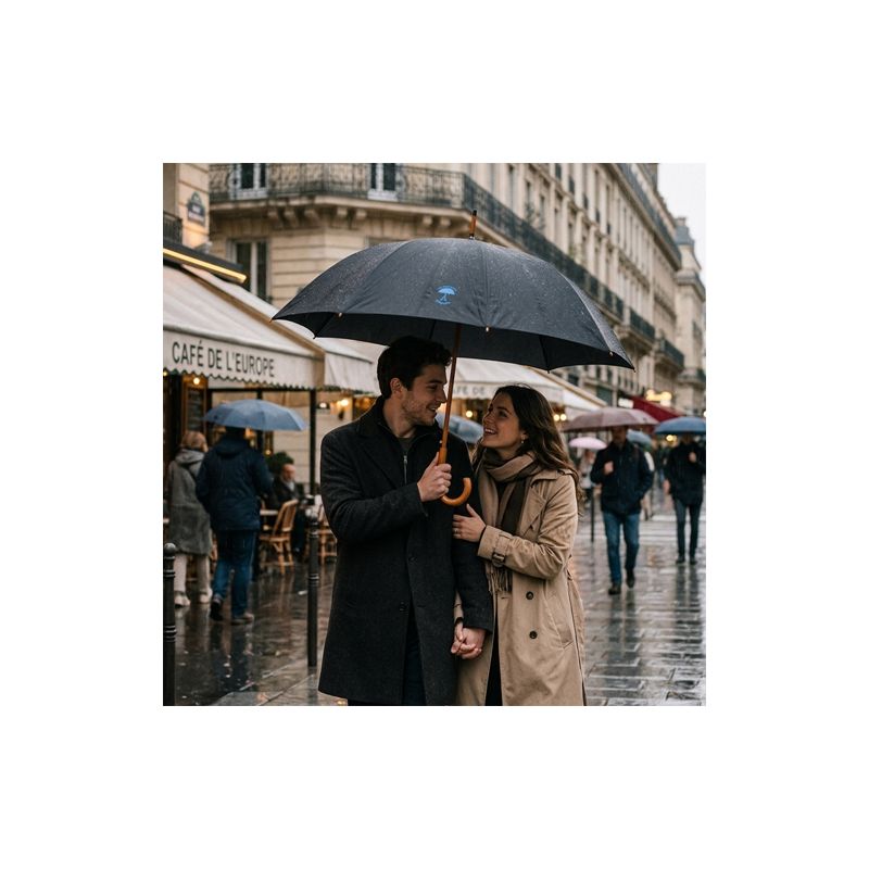 Parapluie canne 10 baleines le Parapluie Français