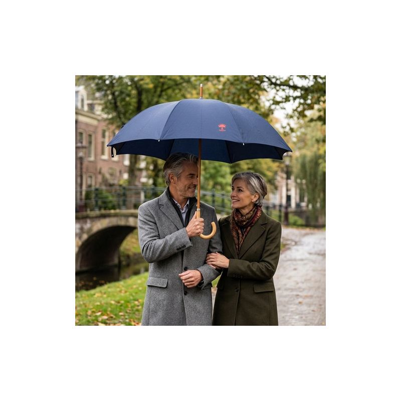 Parapluie canne bleu marine le Parapluie Français