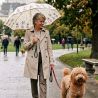 Parapluie de luxe pliant caniches tricolores