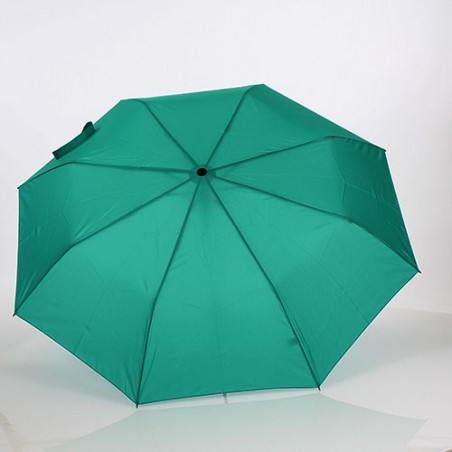 Parapluie pliant automatique 8 baleines vert menthe