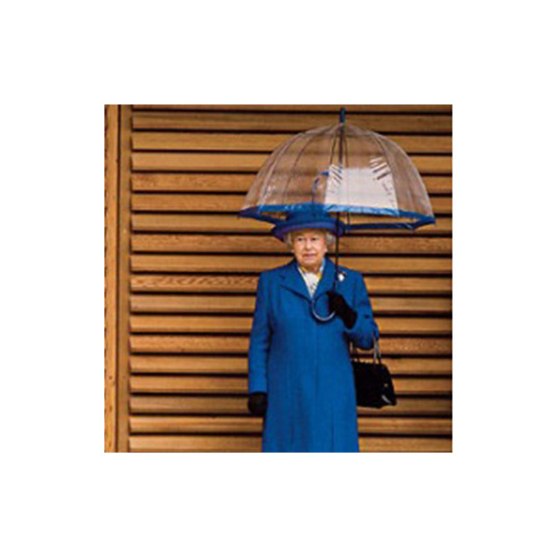 Parapluie transparent bleu navy Fulton