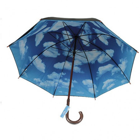 Sky umbrella