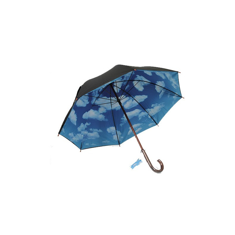 Sky umbrella
