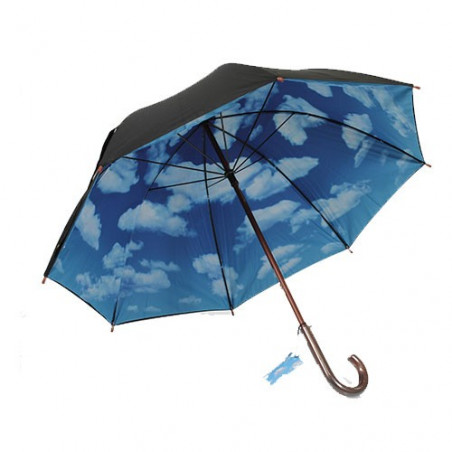 Sky umbrella