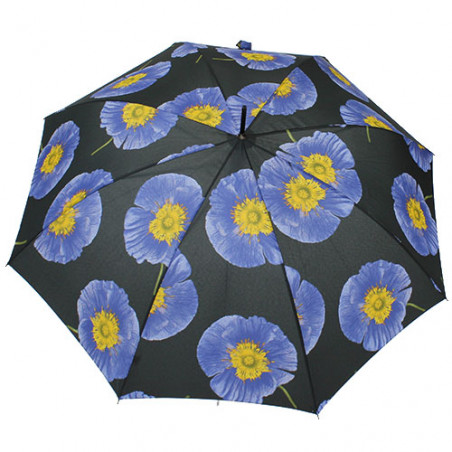 Parapluie canne Pierre Cardin fleurs d'automne noir et violet