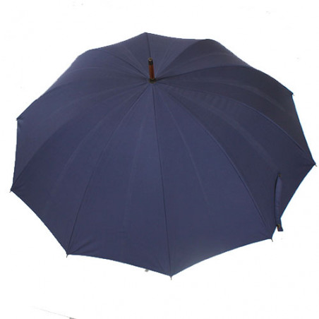 Parapluie de berger bleu