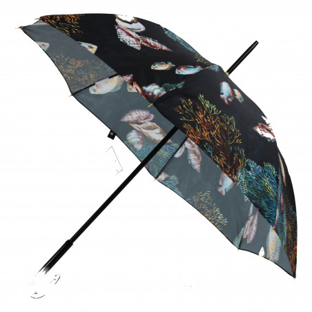 Parapluie canne poésie aquatique