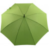 Parapluie droit vert clair petit prix