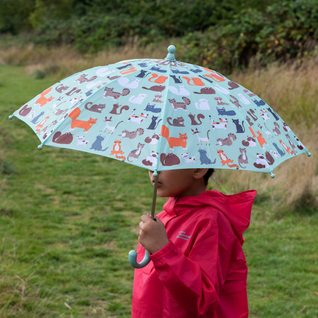 Parapluie enfant cats