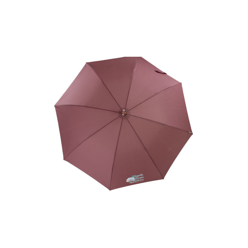 Parapluie canne écologique couleur prune ouverture automatique