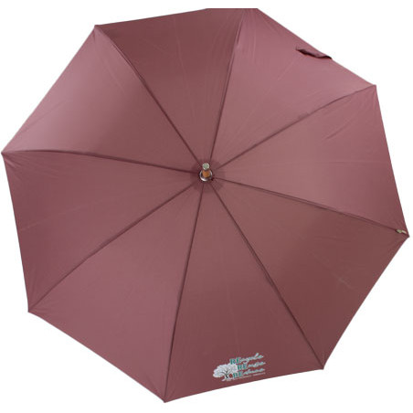 Parapluie canne écologique couleur prune ouverture automatique